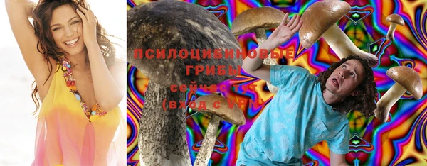 ECSTASY Лиски