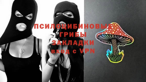 ECSTASY Лиски